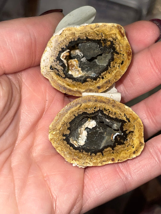 Gobi Eye Agate Geode Pair (UV)