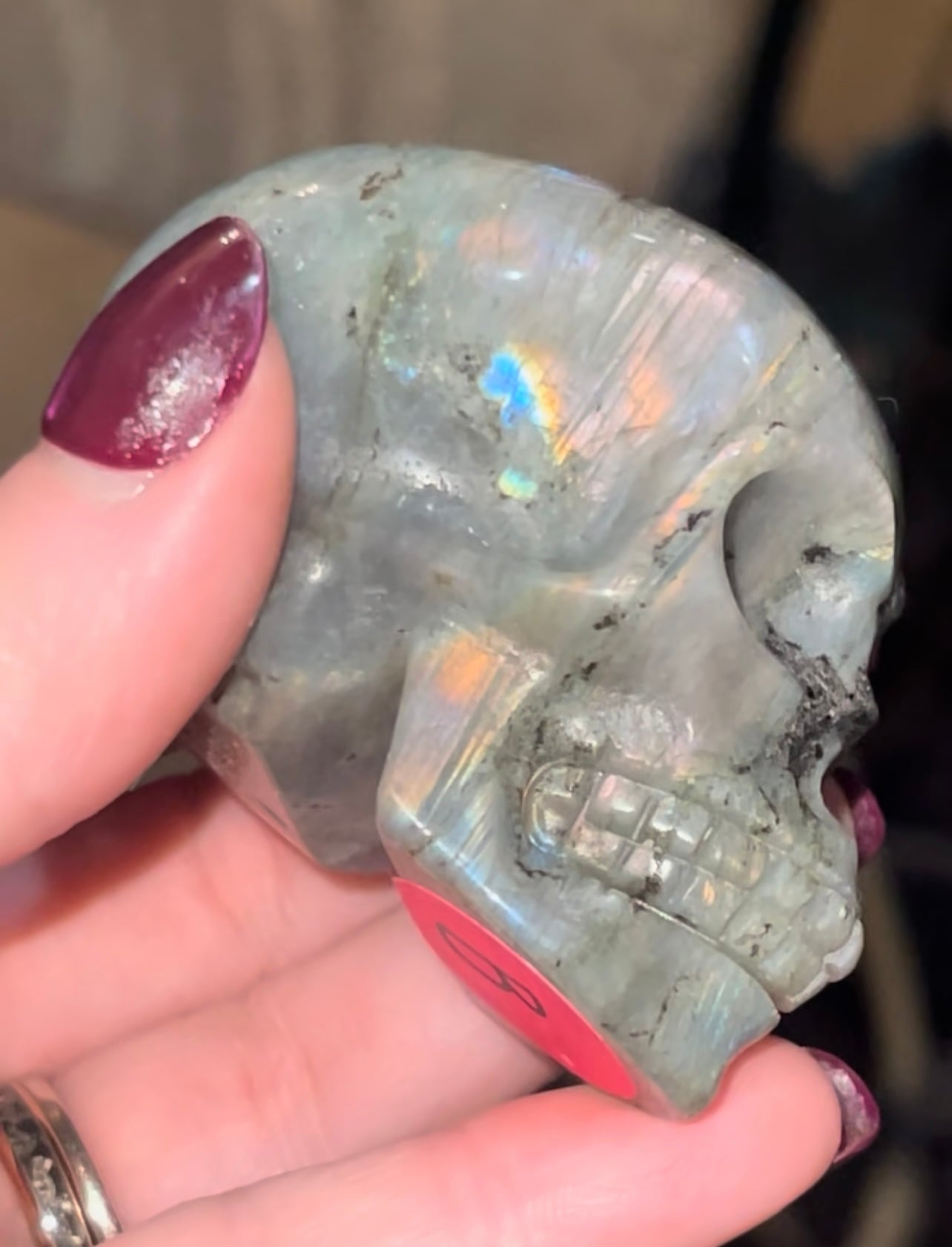 Labradorite Skull- 🌈 flash